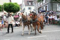 IMG_6475 (2) 